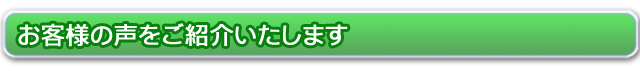 購入者からの声